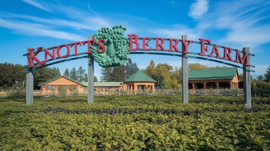 knotts berry farm